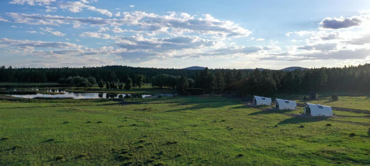 Backland Otel Williams Dış mekan fotoğraf